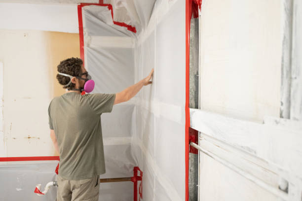 Best Post-Remediation Verification Testing  in Island City, OR