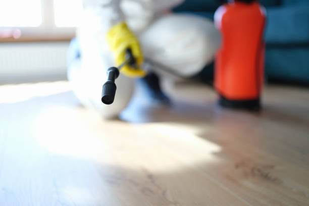 Best Mold Damage Restoration  in Island City, OR